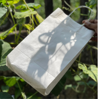 HIGH_STRENGTH_WHITE_PAPER_SHOPPING_BAG_NO.10(12''X_8''X_4'')_ROPE_HANDLE