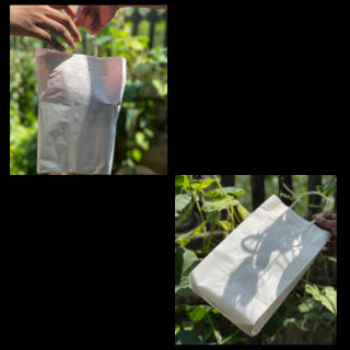 HIGH_STRENGTH_WHITE_PAPER_SHOPPING_BAG_NO.10(12''X_8''X_4'')_ROPE_HANDLE