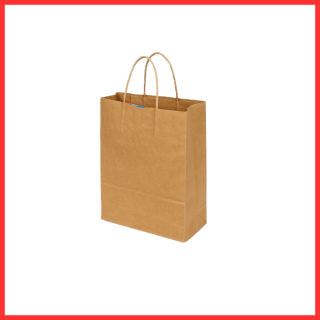 HIGH_STRENGTH_BROWN_PAPER_SHOPPING_BAG_NO.10(12''X_8''X_4'')_ROPE_HANDLE