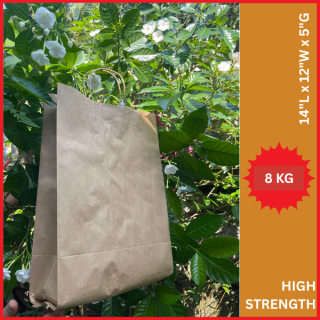 HIGH_STRENGTH_BROWN_PAPER_SHOPPING_BAG_NO.11(14''X_12''X_5'')_ROPE_HANDLE